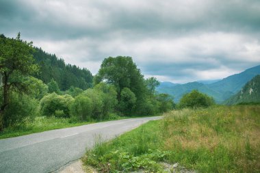 Kırsal yol güzel kırsaldan geçiyor. Yüksek kalite fotoğraf