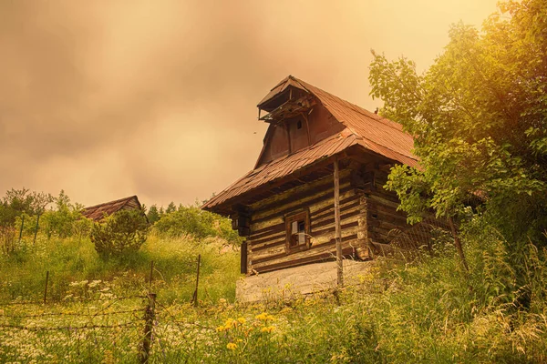 Güzel doğal çevrede ağaç ev. Yüksek kalite fotoğraf