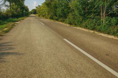 Güneşli bir günde köy yolu. Yüksek kalite fotoğraf