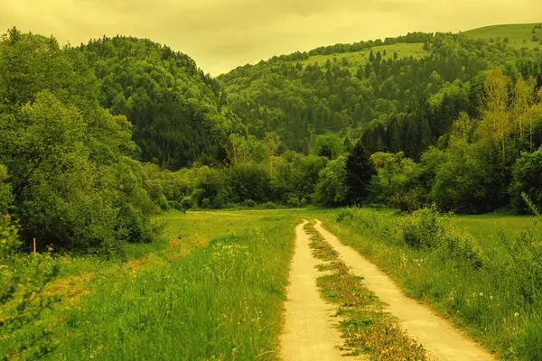 Güzel doğal çevrede bir yol var. Yüksek kalite fotoğraf