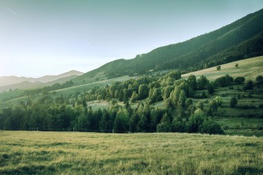 Sonbahar mevsiminde güzel dağ yamaçları ve çayır manzarası. Yüksek kalite fotoğraf