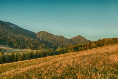 Sonbahar mevsiminde güzel dağ yamaçları ve çayır manzarası. Yüksek kalite fotoğraf