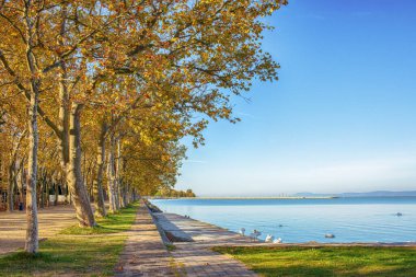 Balatonfoldvar, Macaristan 'daki Balaton Gölü rıhtımında. Yüksek kalite fotoğraf