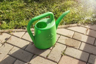 Bahçe yolunda su bidonu. Sulama mevsimi. Yüksek kalite fotoğraf