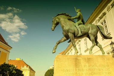 Szekesfehervar şehrindeki özel bir anıt. Yüksek kalite fotoğraf