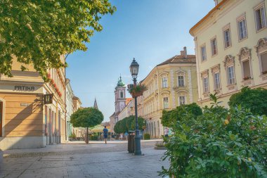 Macaristan 'ın Szekesfehervar kentinin merkezi. Yüksek kalite fotoğraf