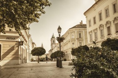 Macaristan 'ın Szekesfehervar kentinin merkezi. Yüksek kalite fotoğraf