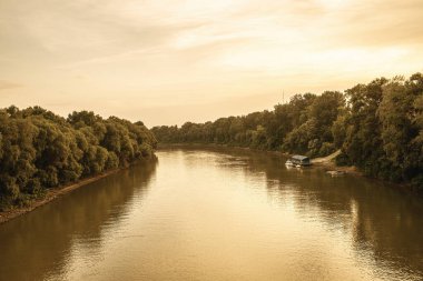 Tisza Nehri kıyısında, Macaristan. Yüksek kalite fotoğraf