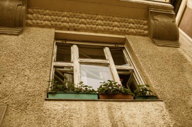 Macaristan 'ın Szeged kentindeki tarihi bina cephesi. Yüksek kalite fotoğraf