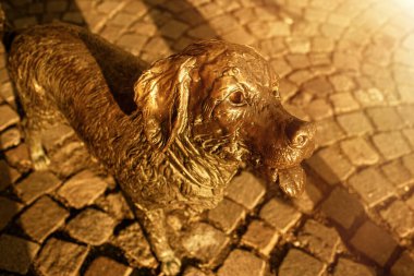 Macaristan 'ın Szolnok kentindeki Kossuth Meydanı' nda bulunan bronz köpek heykeli. Yüksek kalite fotoğraf