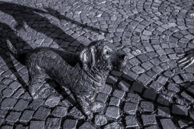 Macaristan 'ın Szolnok kentindeki Kossuth Meydanı' nda bulunan bronz köpek heykeli. Yüksek kalite fotoğraf