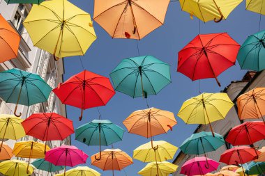  Timisoara, Alba Iulia caddesinde asılı renkli şemsiyeler. Yüksek kalite fotoğraf