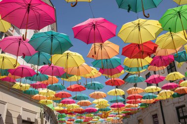  Timisoara, Alba Iulia caddesinde asılı renkli şemsiyeler. Yüksek kalite fotoğraf