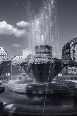 Romanya 'nın Timisoara kentindeki Zafer Meydanı' ndaki çeşme. Yüksek kalite fotoğraf