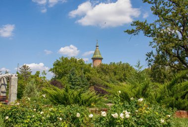 Timisoara 'daki Romen Ortodoks Metropolitan Katedrali. Parktan manzara. Yüksek kalite fotoğraf