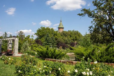 Timisoara 'daki Romen Ortodoks Metropolitan Katedrali. Parktan manzara. Yüksek kalite fotoğraf