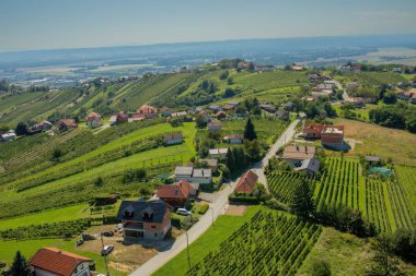 Lendava, Slovenya - 13 Ağustos 2023: Gözetleme kulesinden renkli manzara ve üzüm bağları manzarası. Lendavske Gorice manzarası. Yüksek kalite fotoğraf