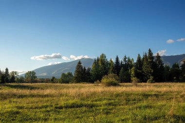 Dağlarda sonbahar manzarası. Güneşli bir günde çayır ve orman. Yüksek kalite fotoğraf