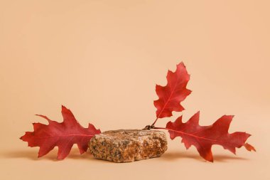 Sonbahar gösterisi, doğal taştan yapılmış, sonbahar kırmızı yaprakları. Boş podyum sunumu kozmetik. Asgari markalaşma sahnesi.