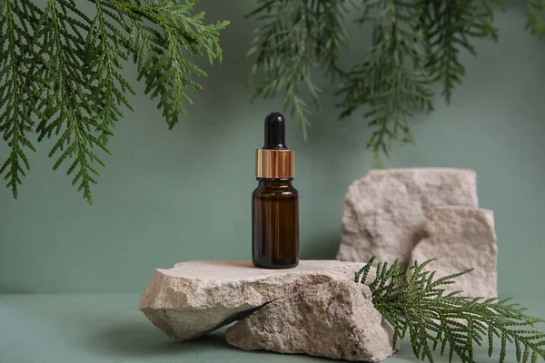 Podium of natural stone, green leaves, glass bottle essential oil, presentation of packaging, cosmetics on green background.