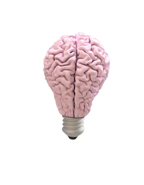 白い背景のライトバルブの形状の脳 — ストック写真