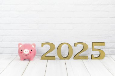 2025 Finansal Planlama: Pembe Domuz Bankası ve Beyaz Arkaplanda Altın Rakamlar