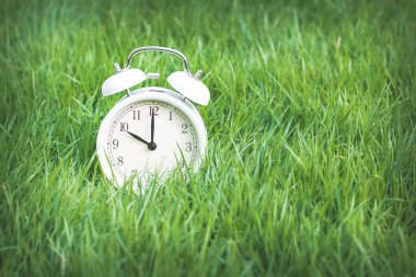 Lush Green Grass üzerindeki klasik Alarm Saati: Doğadaki Zamanın Geçişini Sembolize Etmek