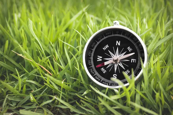 Yemyeşil Çimlerde Siyah Pusula Kılavuz ve Yönlendirme