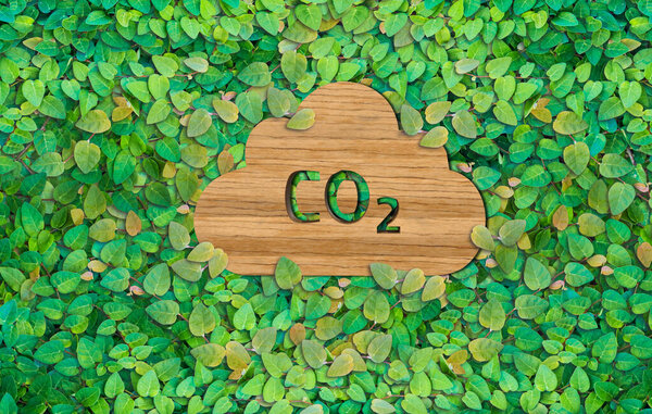 Carbon Footprint Awareness: Wooden CO2 Cloud Symbol on Green Leaf Background