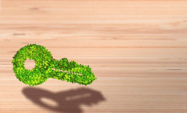 Sürdürülebilirliği Açma: Yapraklı Anahtar Ahşap Arkaplanda Yeşil Çözümlere Erişimi Sembolize Ediyor