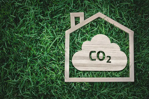 Karbon Ayak İzi Azaltılması: Yeşil Çimende CO2 Bulutlu Ahşap Ev Çerçevesi