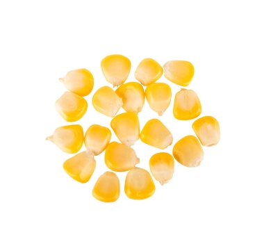 Beyaz arka planda izole mısır tohumları. en üstteki görünüm