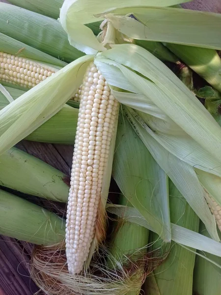 Fragment Three Shredded Corn Close Ups — Stock Photo, Image