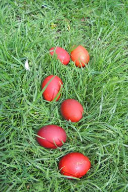 Paskalya pastası, yumurta, hayat 