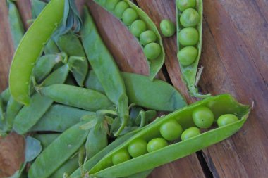 Bezelye yönetim kurulu