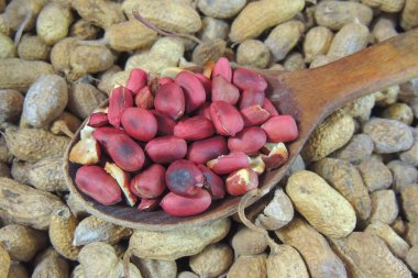 Çuval bezinde taze fıstık, üst manzara.