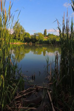 Gölün üzerindeki yaz manzarası