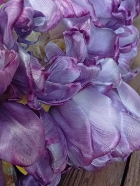 Bir buket lale hediye.