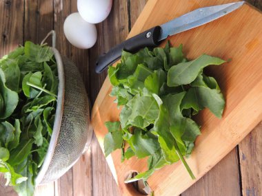 Kızkuşu, kış için hazırlık.