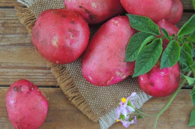 Tahtadaki genç patatesler