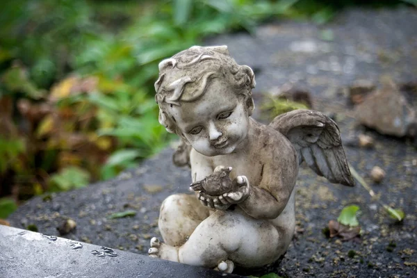 Detailní Záběr Zhuleného Anděla Stojícího Hrobce Hřbitově — Stock fotografie