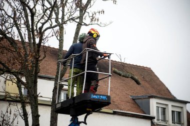 Mulhouse - France - 23 January 2023 - Portrait of workers cutting tree trunk in the street