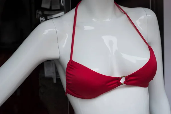 Vértes Piros Bikini Manöken Divatházban Bemutatóterem Nők — Stock Fotó