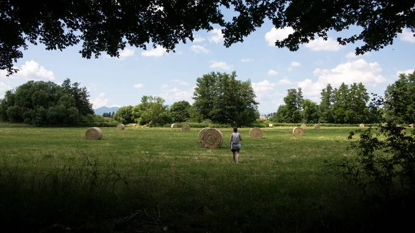 妇女背着小麦在草地上行走的背影画像 — 图库照片