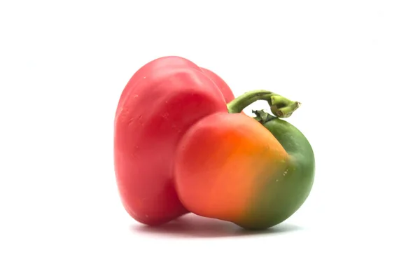 Closeup Colorful Peppers White Background — Stock Photo, Image