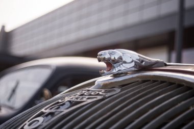 Mulhouse - Fransa - 8 Ekim 2023 - Peugeot 402 'nin ön vagonunda peugeot aslanının yakın çekimi 