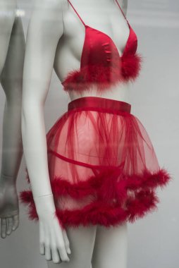 Moda mağazasında manken üstünde seksi kırmızı iç çamaşırı.
