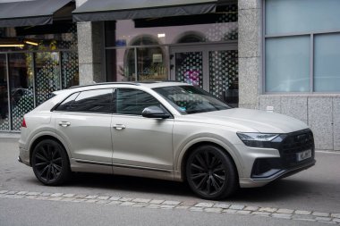 Strasbourg - Fransa - 3 Kasım 2024 - sokağa park edilmiş bej renkli audi Q8 SUV aracının profil görüntüsü