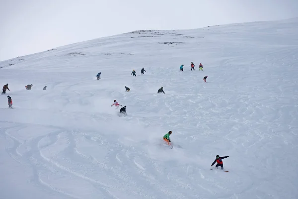Freeride Group Powder Snowboarding Alpes Resort Winter Snowboard Freeride Deeep — Stock Photo, Image