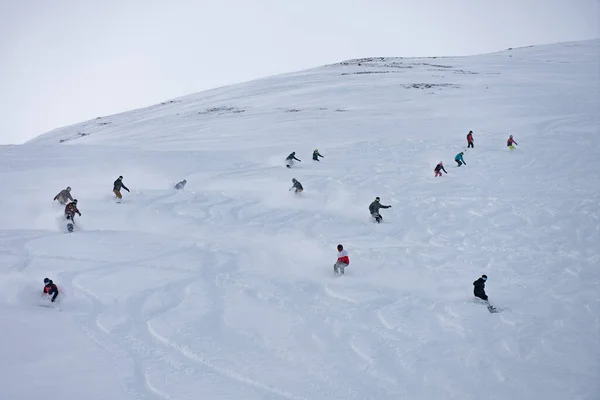 Freeride Group Powder Snowboarding Alpes Resort Winter Snowboard Freeride Deeep — Stock Photo, Image
